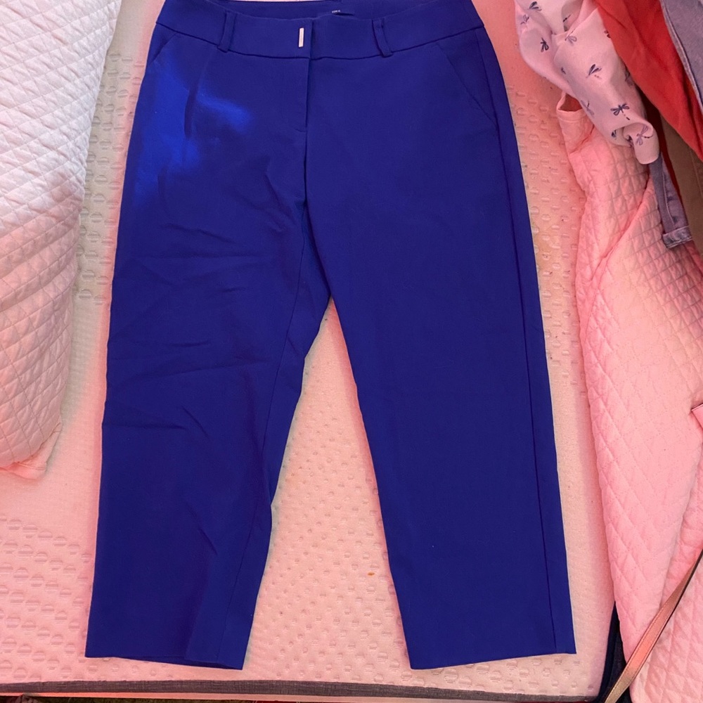 blue dress pants cropped